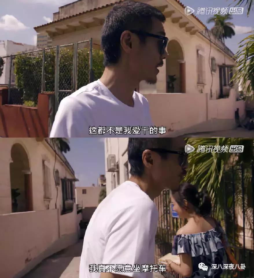 最新神仙综艺节目,2019高分冷门的良心综艺安利