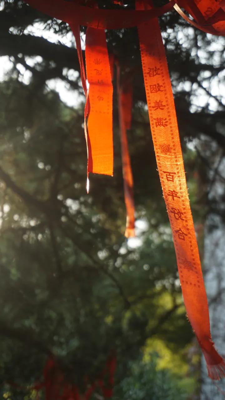 上海启庐太湖启园,太湖启园门票最新消息