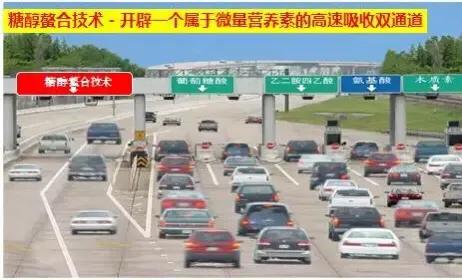 什么糖醇钙肥最好,糖醇钙和钙肥水溶肥有什么区别