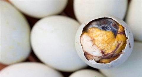 你吃过毛蛋吗,你们有吃过毛蛋吗