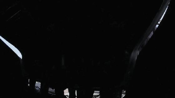 尺度与耻度齐飞，这部最长寿片车速太快