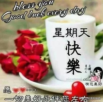 微信早上好最暖心祝福问候语,早上好问候祝福语暖心句子图片