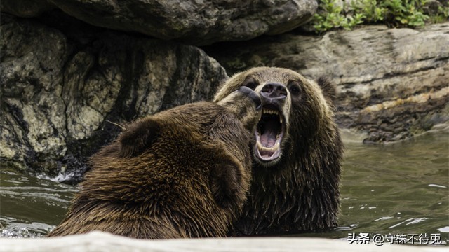 25个生活中冷知识,24个冷知识真实有趣的存在