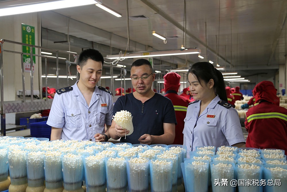 减税降费成效明显税收增加,精准高效落实结构性减税降费政策