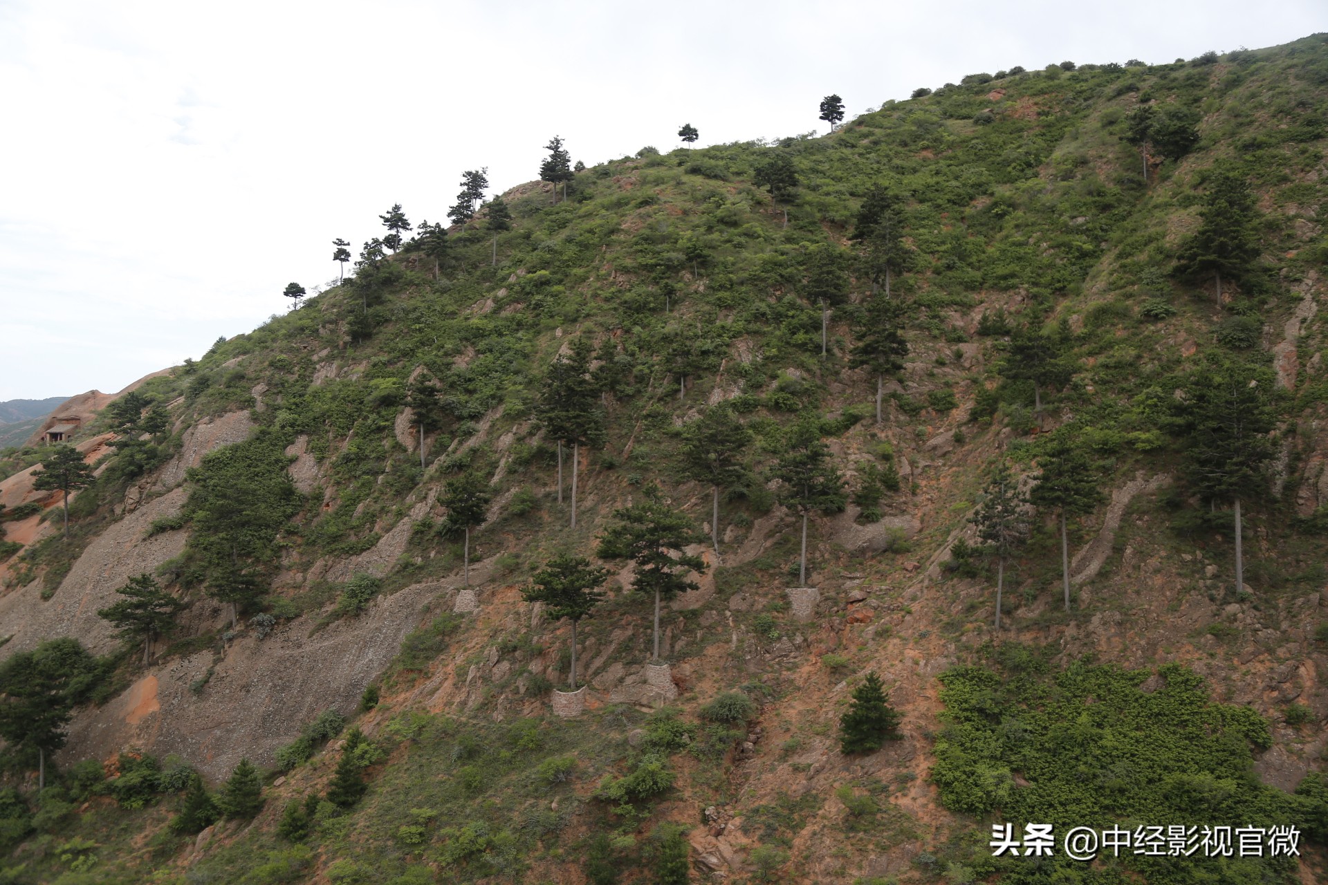 须弥山旅游区最新消息,须弥山景区需要讲解吗