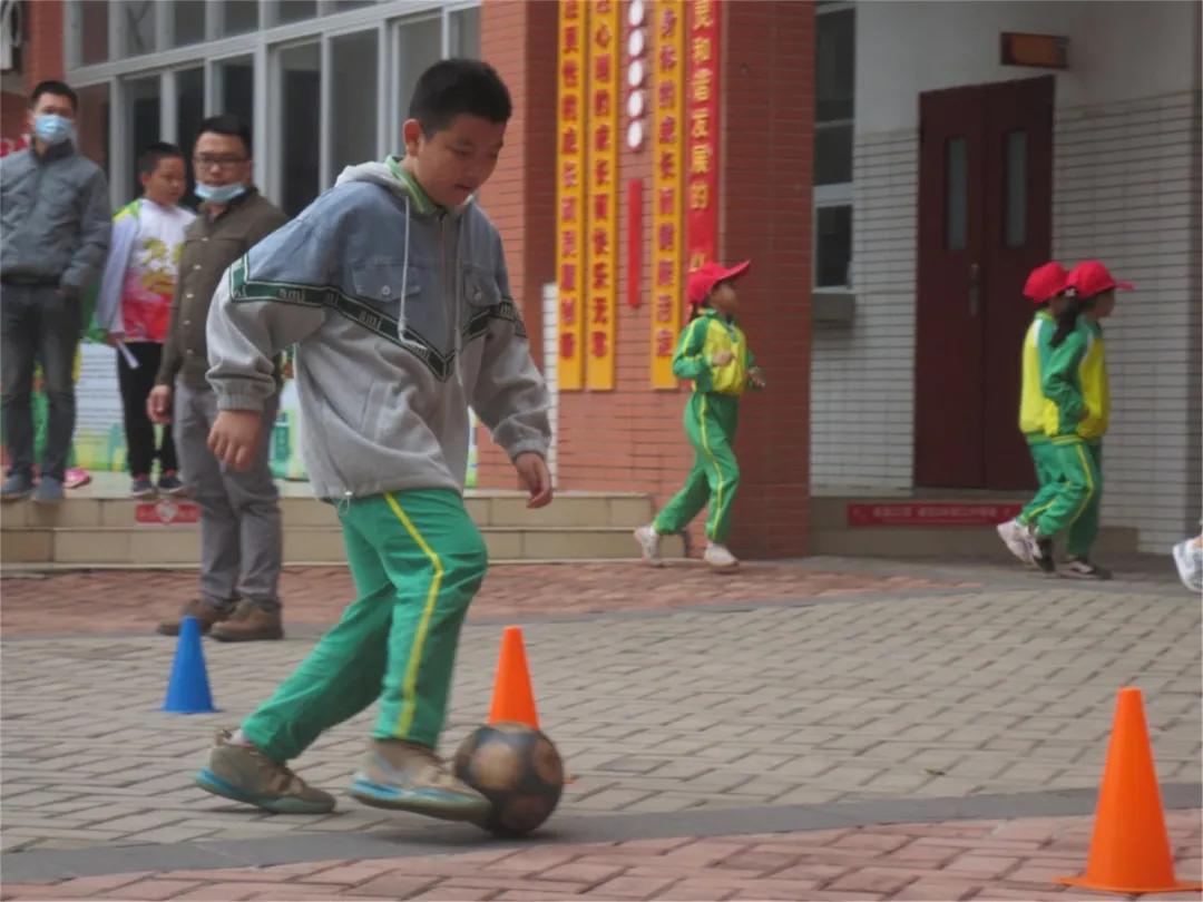 龙腾虎跃展英姿,龙腾虎跃展宏图