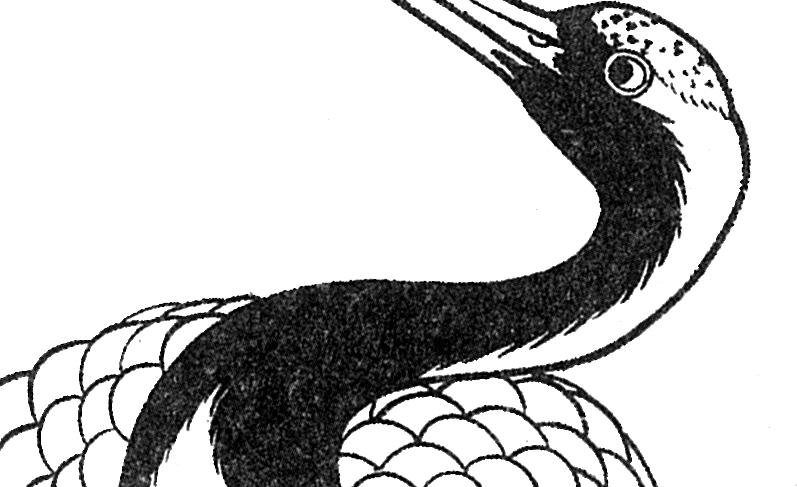 仙鹤桃子工笔白描稿,工笔画仙鹤高清图上色步骤图