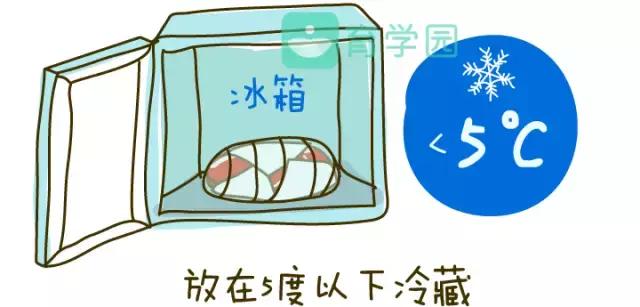 牛肉怎样吃有利于孩子成长,牛肉可以给宝宝做什么辅食