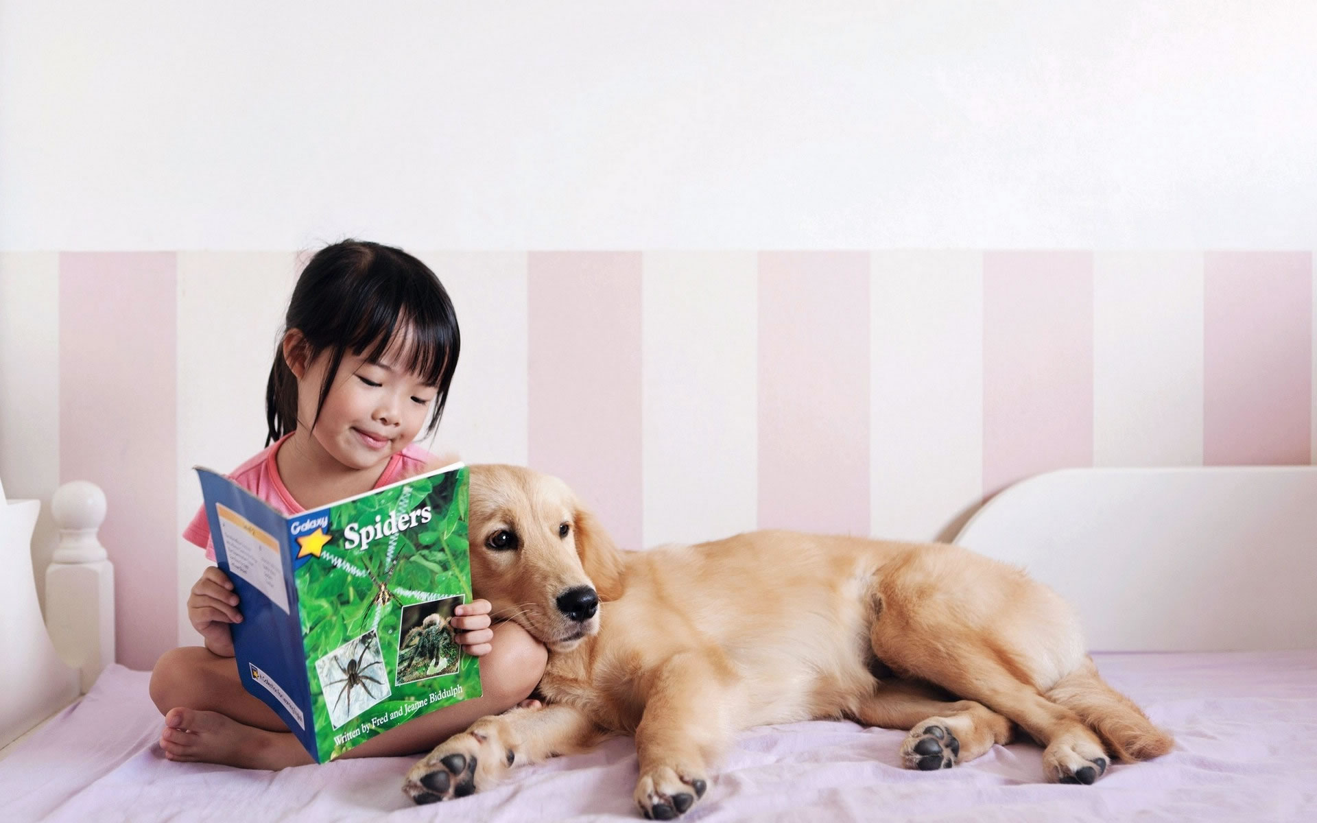 宠物小知识狗狗呕吐该怎么办,养宠知识狗狗发现呕吐怎么办