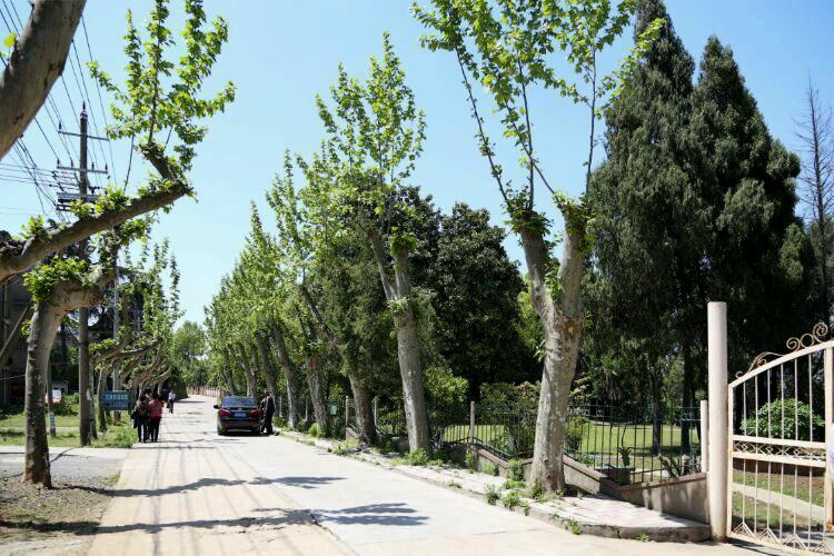 上海小三线简介,上海小三线在宁国的厂