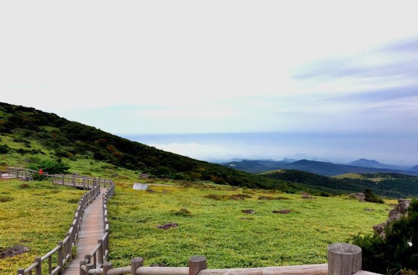 去韩国济州岛危险吗,去济州岛旅游过关好过吗