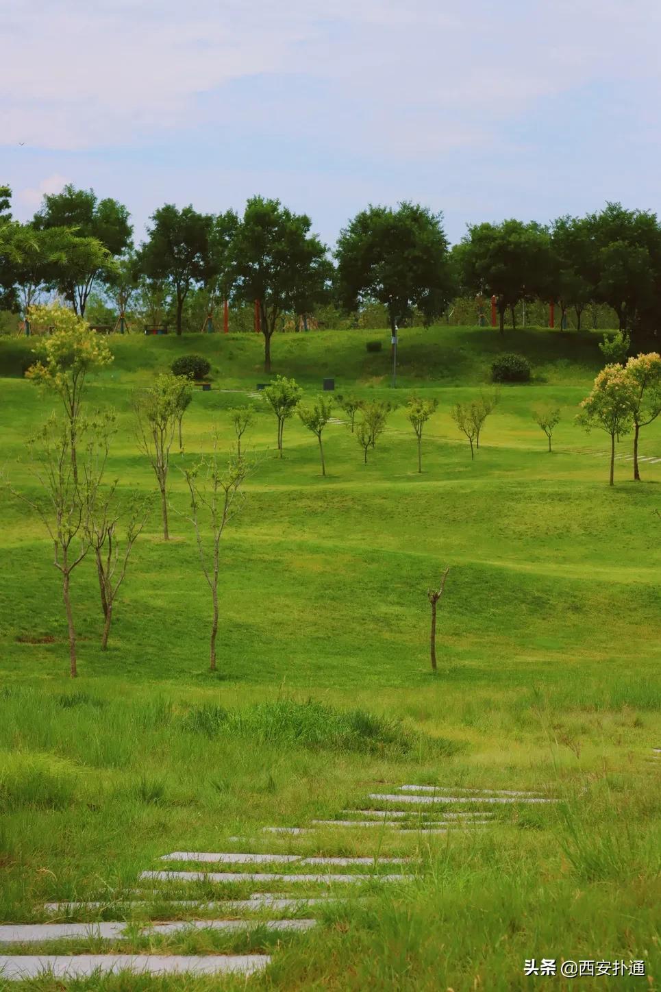 西安大草坪公园推荐,西安有大草坪的公园