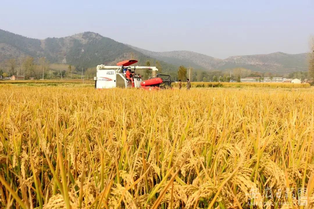 宿州秋色最浓的地方,宿州冬日游玩景点有哪些