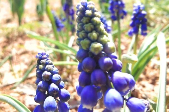 济南桌游馆,济南桌游哪里好