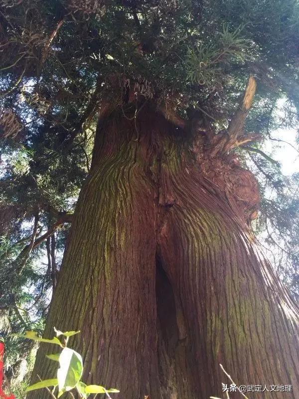 彩云之南美丽的云南,彩云之南云南省昆明市