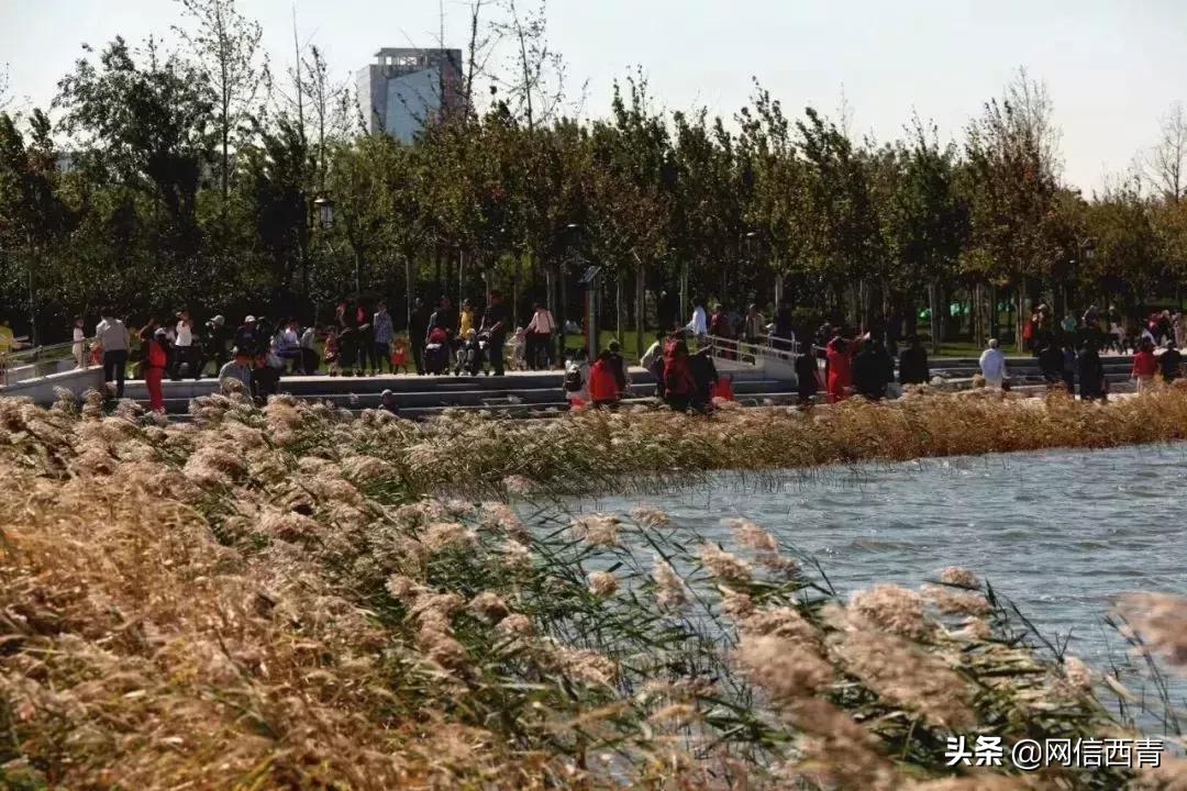 水西公园景观节点,水西公园板块规划