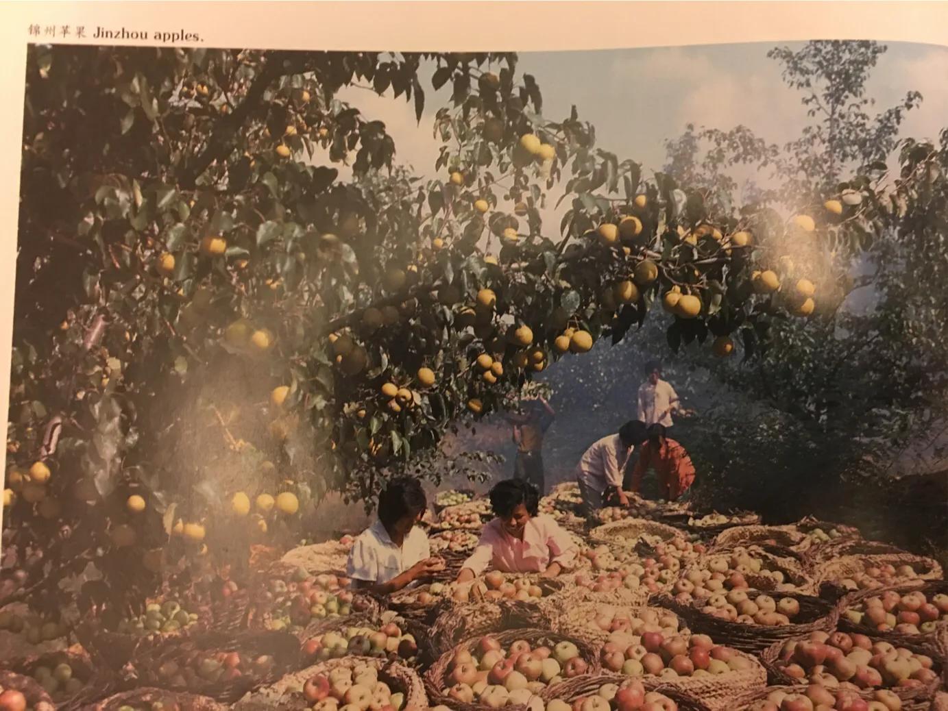 让时光倒流回到从前歌词,让时光倒流回到从前的歌