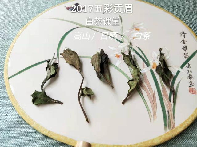 收藏白茶茶饼和散茶哪个更好,白茶散茶储存方法视频