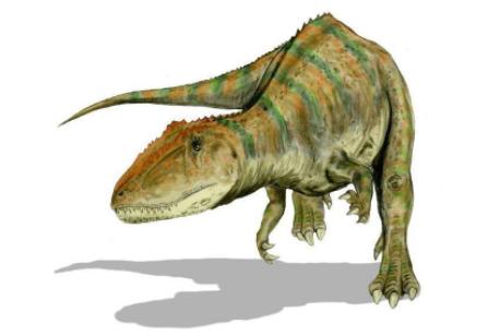 十大肉食性恐龙排名,肉食性恐龙吃什么