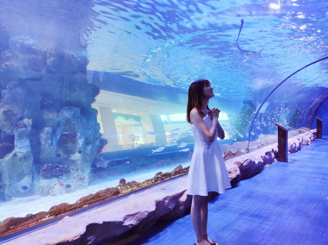 带你看不一样的迪拜,带你感受不一样的迪拜