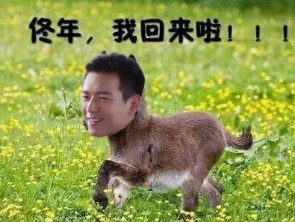 追剧最好吃的小零食,九款好吃不贵的零食种草追剧必备