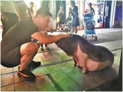 奶茶店请人经营赚钱吗,奶茶店请的员工多能挣钱吗