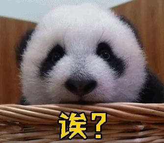 便便有一股酸味是怎么回事,便便有股中药味