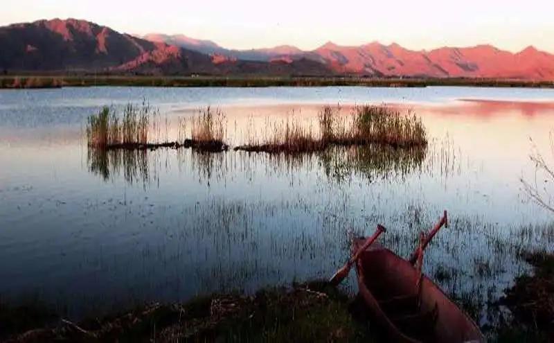 一叶访谈|非常时期，听侃侃轻唱流年