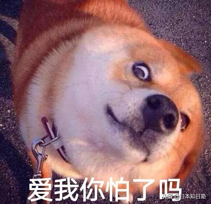 日本新闻双11,日本新闻报道的双十一