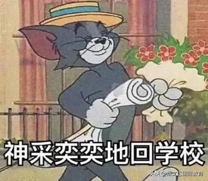 开学啦短语,学校开学必背知识