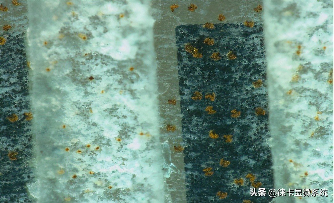 徕卡半导体显微镜,徕卡扫描电子显微镜