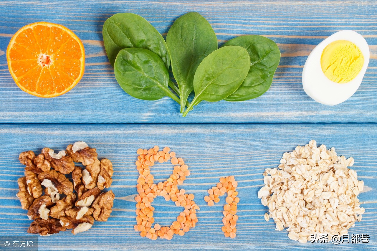 狼青犬要怎么养，适合家养吗