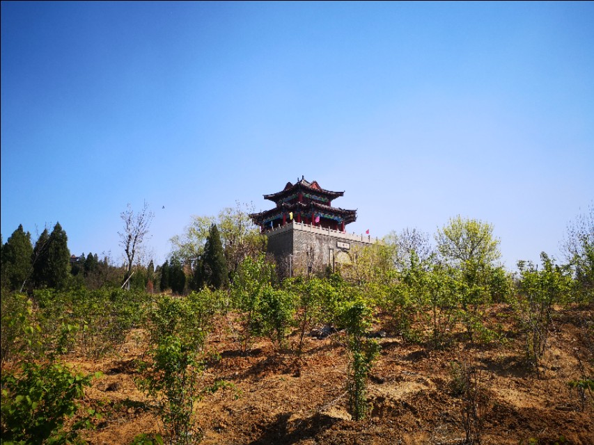 淄博花山公园梅花谷,淄博花山公园