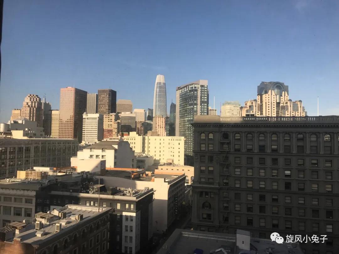 加州沿海1号公路自驾游散装系列（一）：阳光北加的金山依旧