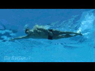 自由泳怎么提速最快最有效,自由泳提速的七个建议