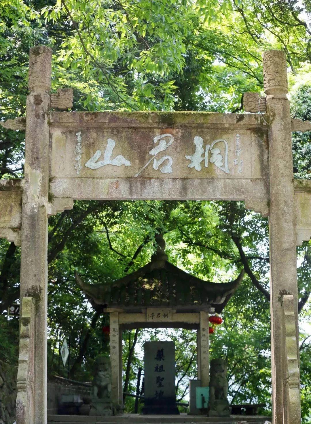 桐君养生包,桐君仁医中药包