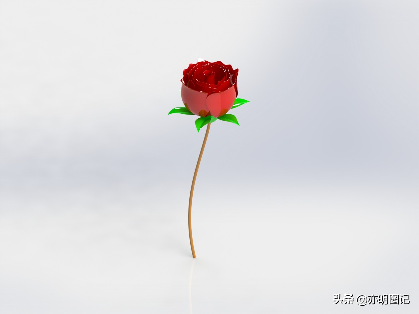 solidworks玫瑰花建模教程,2022solidworks制作玫瑰花