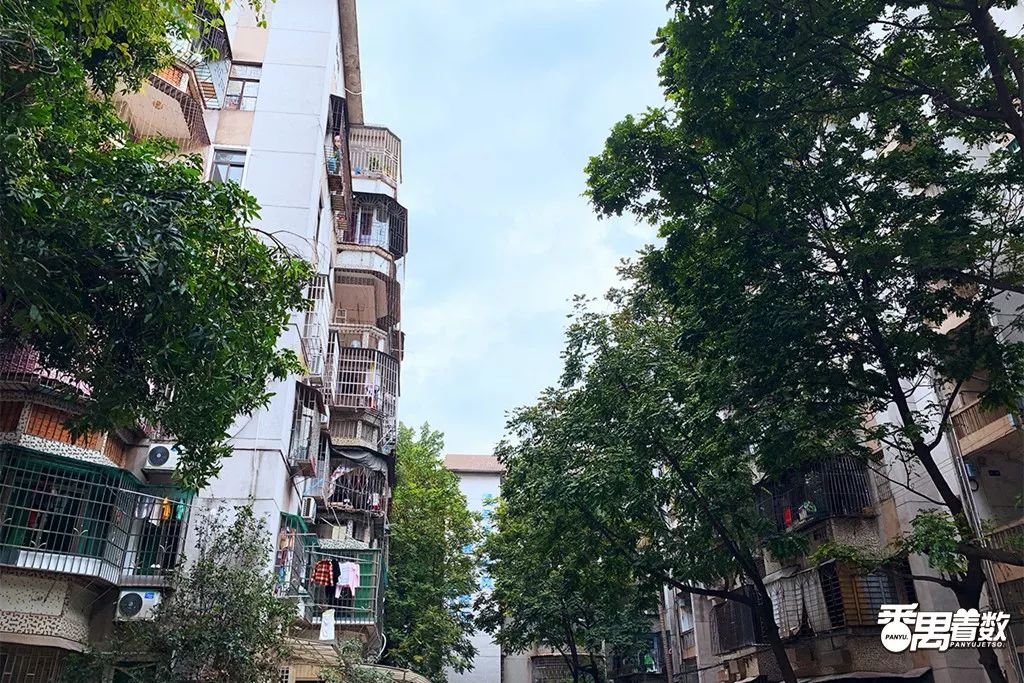 在番禺，住在康乐园的人最幸福！