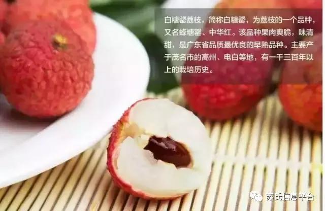 「苏商名片」茂名苏氏土特产有限公司「新品上市…快」