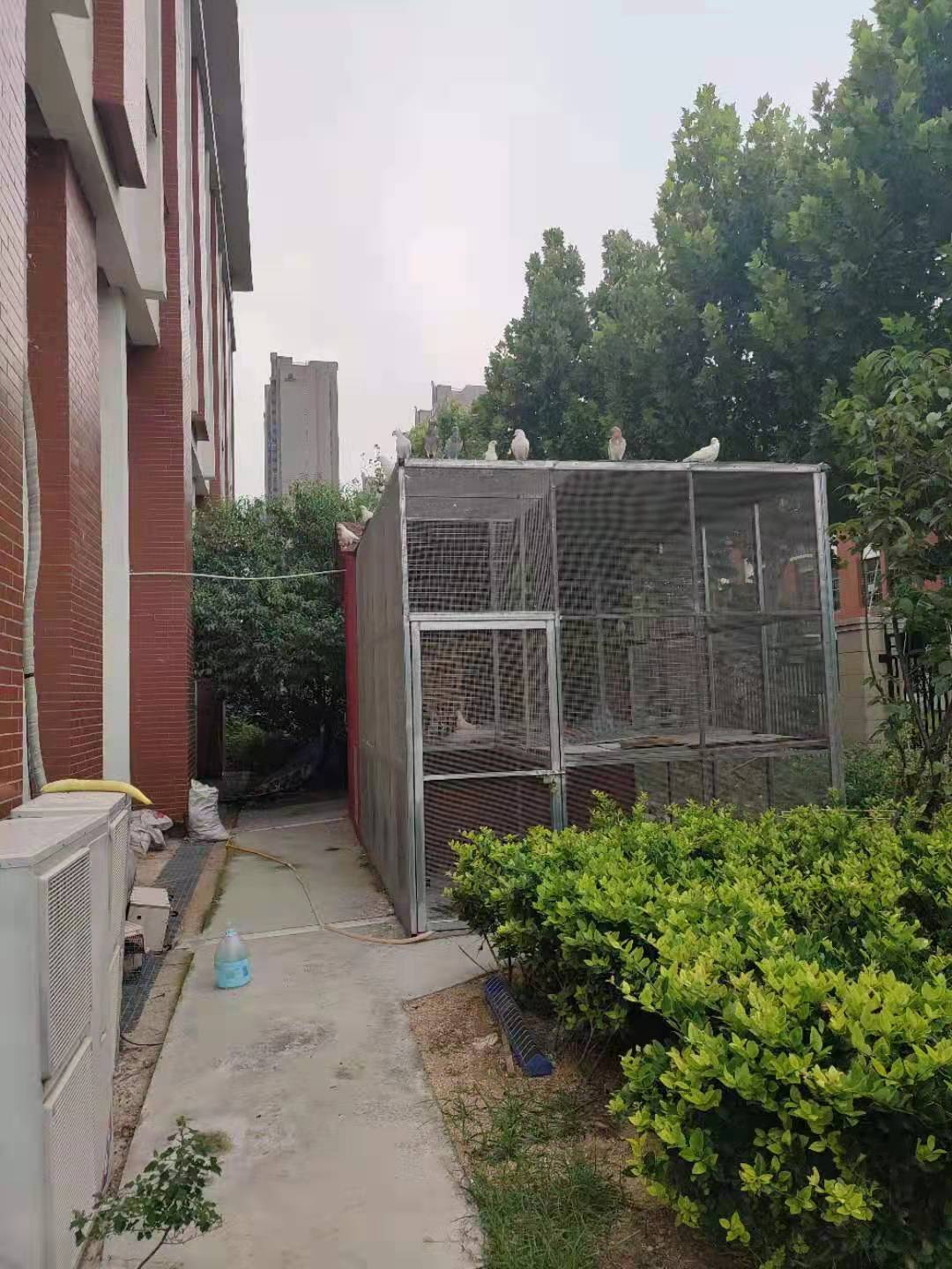 郑州市回民初级中学2020年新校区,一颗冉冉升起的教育新星