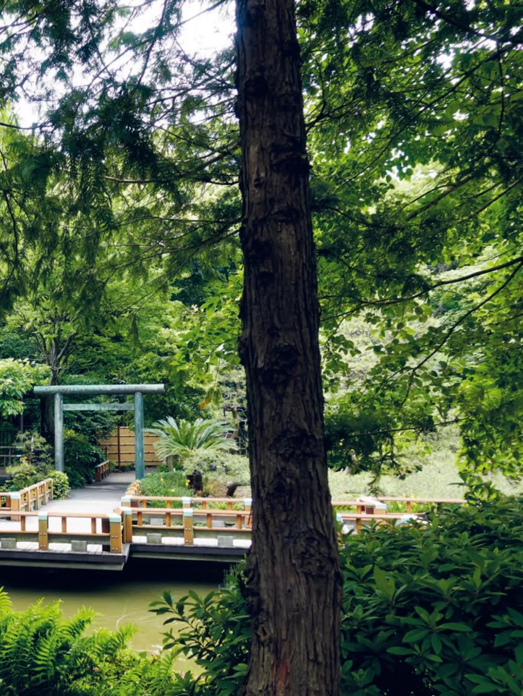 隈研吾大师的顶级复式豪宅,隈研吾最新定制级绝美奢宅