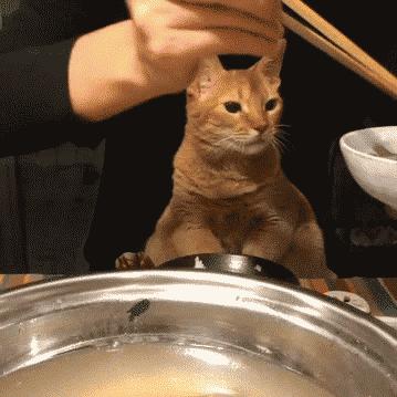 超级搞笑gif图,超好笑gif图