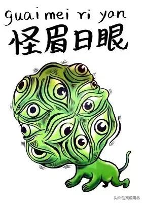 雄起四川话怎么说,四川雄起方言版