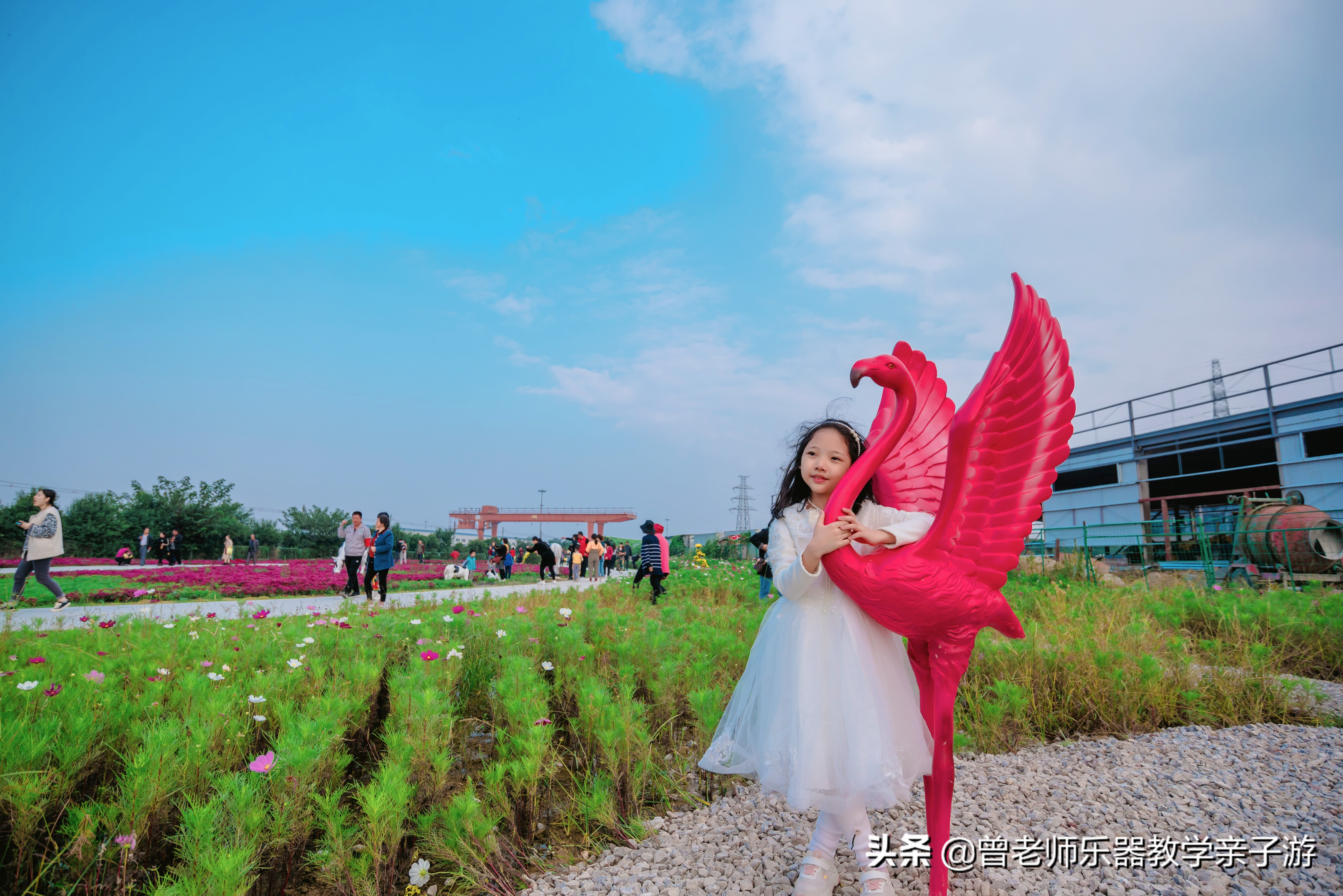 爱菊研学游,爱菊丝路文化菊花园西安