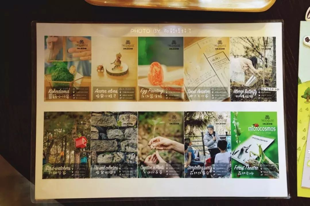 北京京郊童话树屋,台湾神奇的树屋