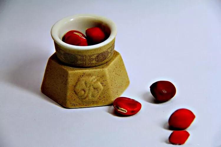 红豆是什么果实,红豆学名相思子