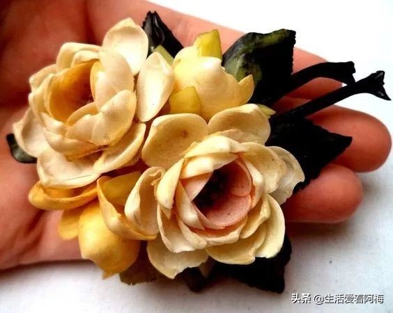 在贝壳里做上好看的装饰,简单的贝壳的工艺品