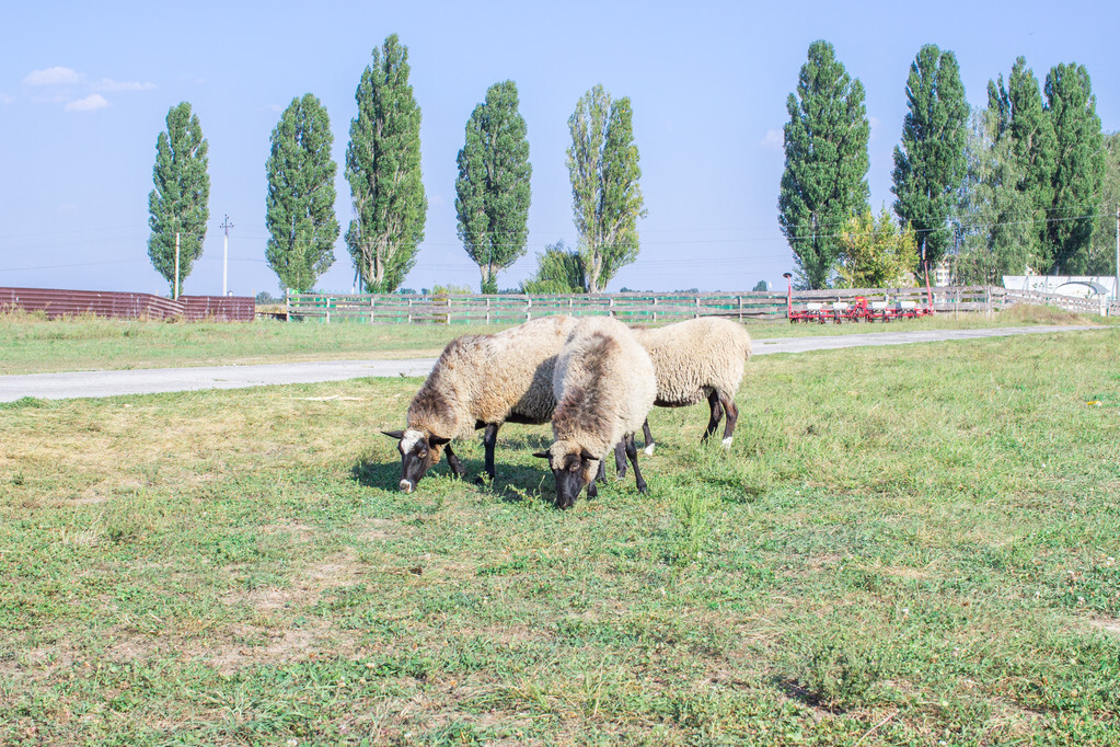 福州项目未来收益及实施方案,福州市106个项目进展
