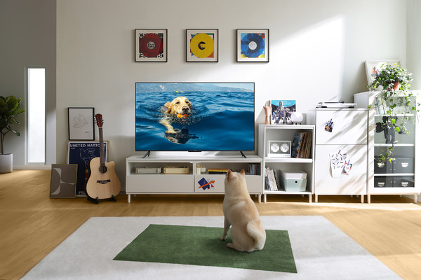 智能电视各项配置解析,智能电视挑选是要看哪些参数