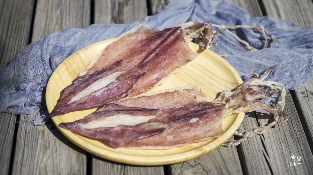 它叫宅鱿，但它和宅男宅女真的不熟！